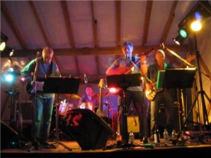 Sommerfest i Hvitsten 28. juni 2008